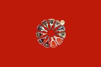 常德市安乡县回收红酒